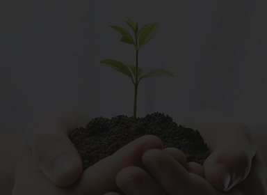 AG真人国际(中国)官方网站