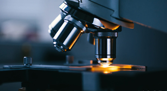 AG真人国际(中国)官方网站